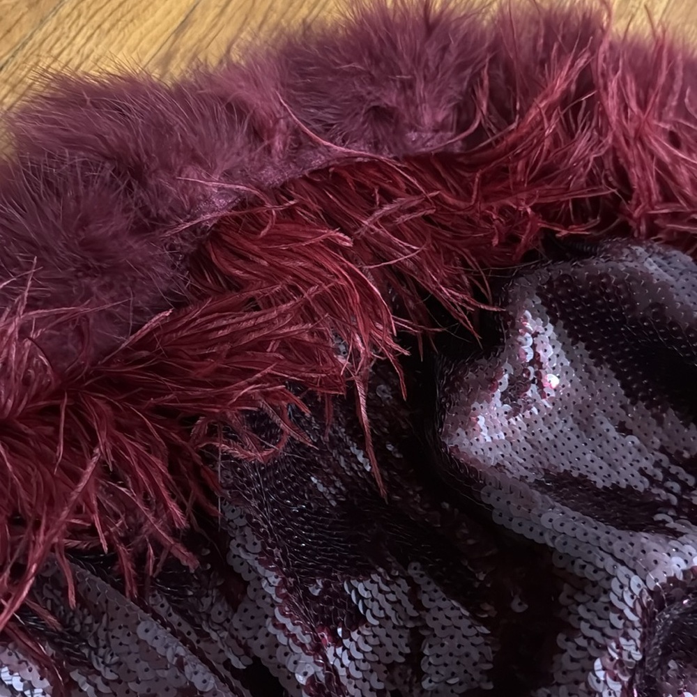 NWT express burgundy sequin feather trim
Mini dress XL $260 - Picture 4 of 9